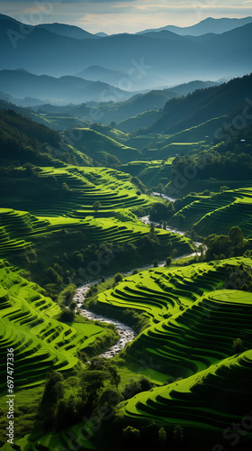 rice terraces in the morning