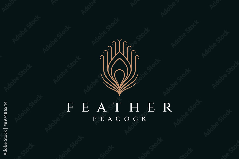 Peacock Feather Logo Icon Design Template Line Art Style Vector Stock ...