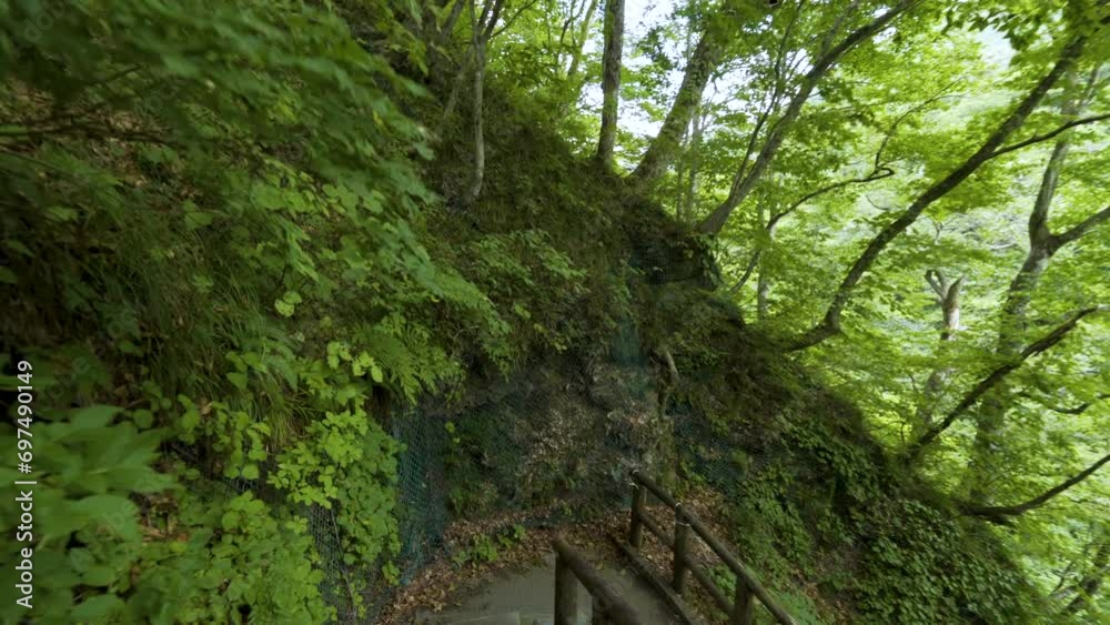 Cinematic gimbal shot of forest trail leading to steam vents at Oyasukyo Gorge in Akita prefecture in Japan Cinematic gimbal shot of forest trail leading to steam vents at Oyasukyo Gorge in Akita prefecture in Japan