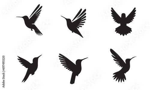 House sparrow or bird silhouettes set vector illustration  black And white 