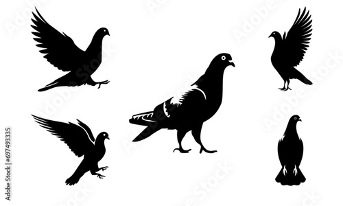 pigeon silhouette set different poses and actions