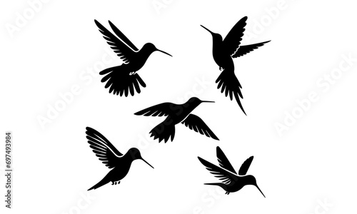 A collection of various hummingbird silhouettes, each in a different pose © Irfan