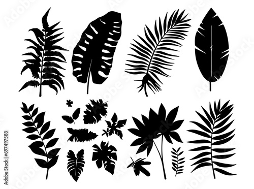 Set of black silhouettes of leaves and flowers. Vector illustration.
