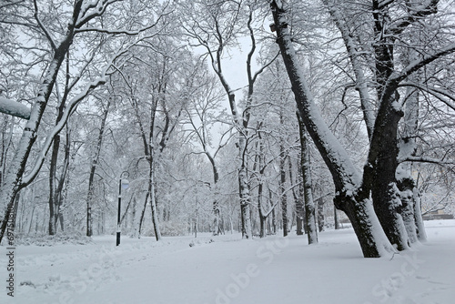 Wallpaper Mural Park is covered with snow on a cloudy and frosty winter day. Beautiful natural background, natural pattern for the cold season. Torontodigital.ca