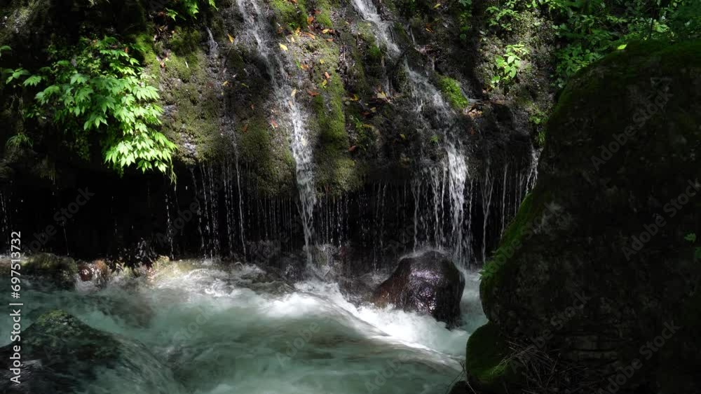 玉垂のように見える繊細な表情の滝の情景

