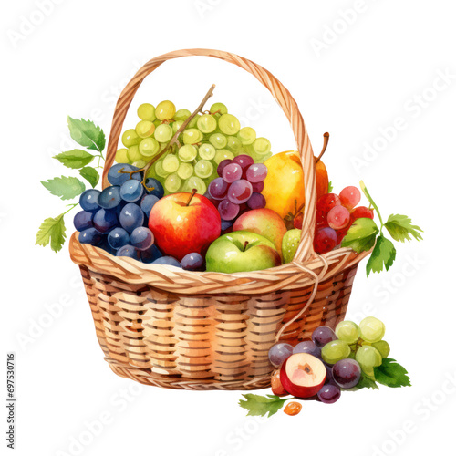 fruits basket watercolor illustration isolated on white or transparent background