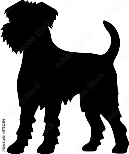 Pumi Flat Icon
