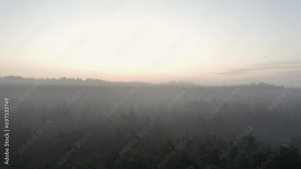 A cinematic aerial shot moving forward at a relatively slow speed over a swamp with some trees that are covered in thick fog moments before sunrise Nr.1 A cinematic aerial shot moving forward at a relatively slow speed over a swamp with some trees that are covered in thick fog moments before sunrise Nr.1