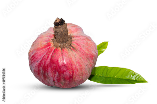 Ripe Annona reticulta or wild sweetsop, custard apple fruit, Rare medicinal fruit ramphal photo