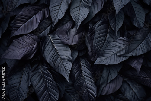 Textures of natural abstract black leaves