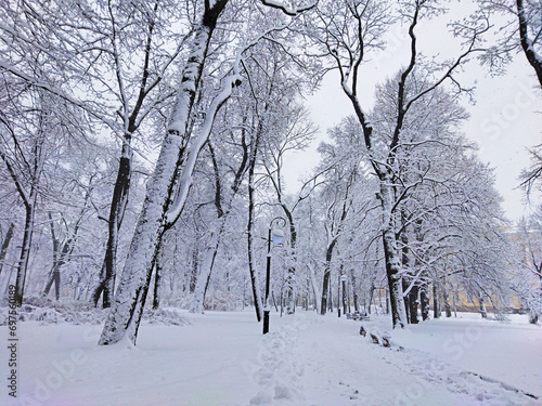 Winter snowfall and park trees are covered with white snow. Beautiful landscape in Mikhailovsky Park in St. Petersburg (Russia) on a cloudy snowy day.