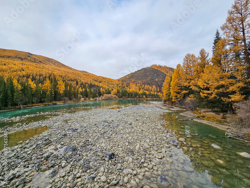 Low water season. Wide shallow river in late autumn, the Argut mountain river in Altai. photo