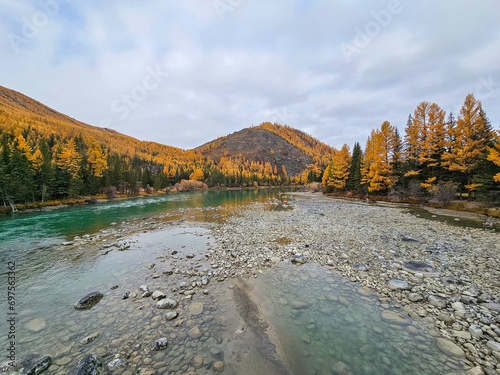 Shallow river and many river rocks. Low water season. Wide shallow river in late autumn, the Argut mountain river in Altai. photo