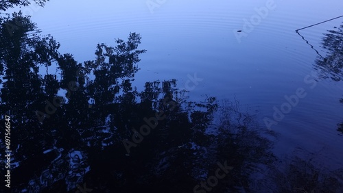 Reflection of treeas in lake water