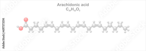 Arachidonic acid. Simplified scheme of the molecule.