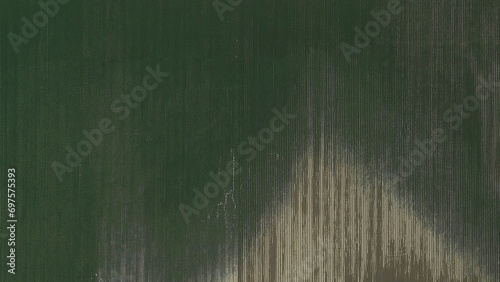 Fotografija Perpendicular aerial view of a green grass field for architectural landscape des