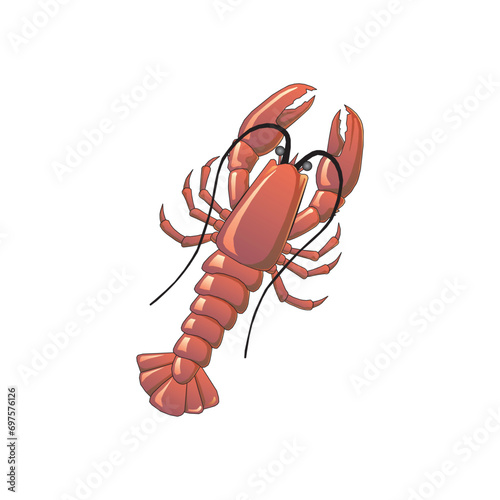 Lobster vector illustration. Cartoon isolated red crawfish, whole underwater crayfish with claws and tail, sea crustacean animal and exotic luxury lobster meal for delicatessen restaurant menu