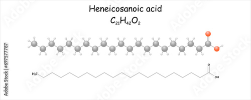 Heneicosanoic acid. Stylized molecule model and structural formula. Use as analytical standard.