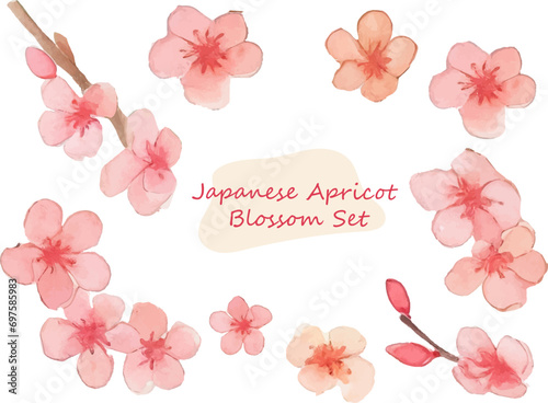 ふんわり水彩タッチの日本の梅の花イラストセット