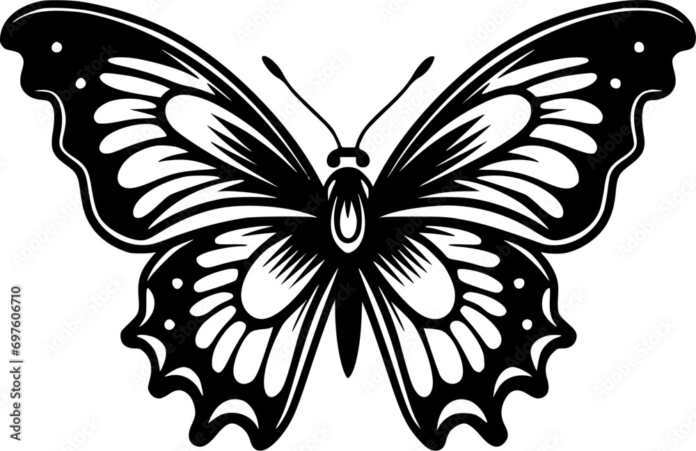 Butterfly | Black and White Vector illustration Butterfly | Black and White Vector illustration