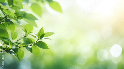 Nature s Embrace  Defocused Foliage in Summer  Close up of beautiful nature view of green leaf on blurred greenery background in garden and sunlight with copy space using as background. Generative Ai