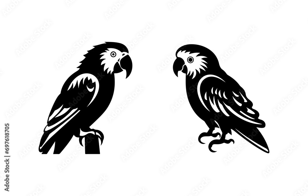 Parrot illustration, logo. Vector icon drawing on white background