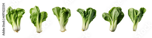 collection of bok choy vegetables isolated on a transparent background