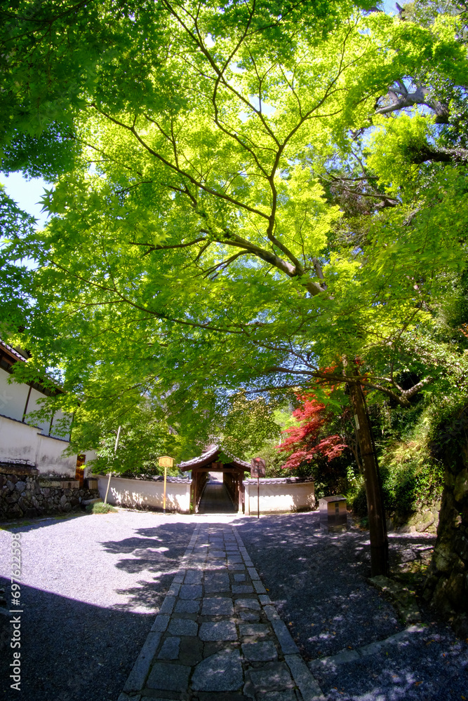 新緑の美しい季節の東福寺の境内風景