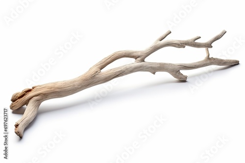 Driftwood Stick Isolated, Sea Wood Branch, Drift Wood