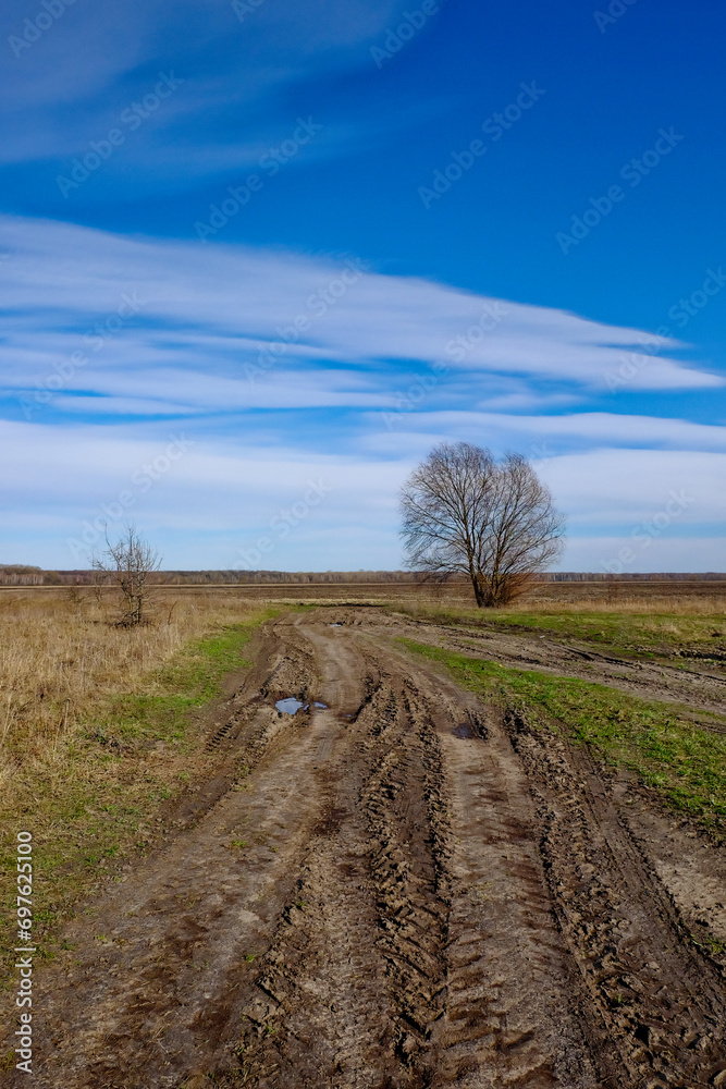 A single tree in a field, a dirt road curving towards it.