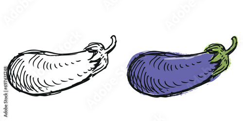 Hand drawn illustration of ripe purple eggplant isolated on white 