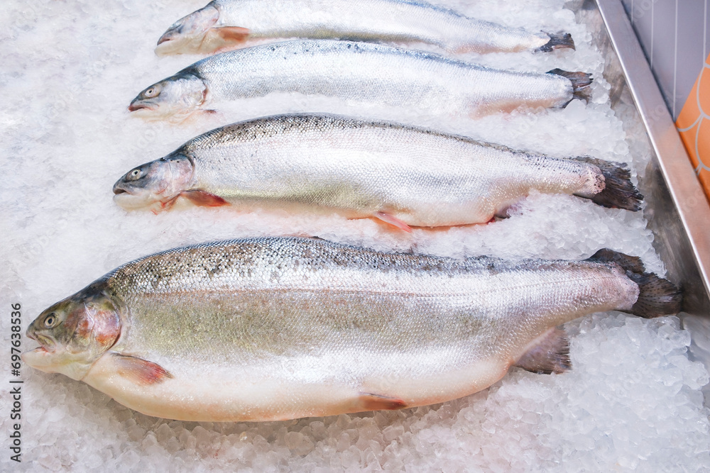 freshly caught Atlantic salmon lies on ice in a supermarket or fish shop