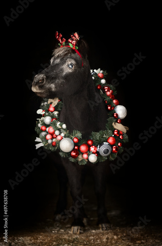 Beautiful pony with a Christmas wreath