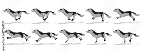 Dog running animation with different creature movements. Doggy poses in movement. Character move for games, cartoon or video. Flat  illustration photo
