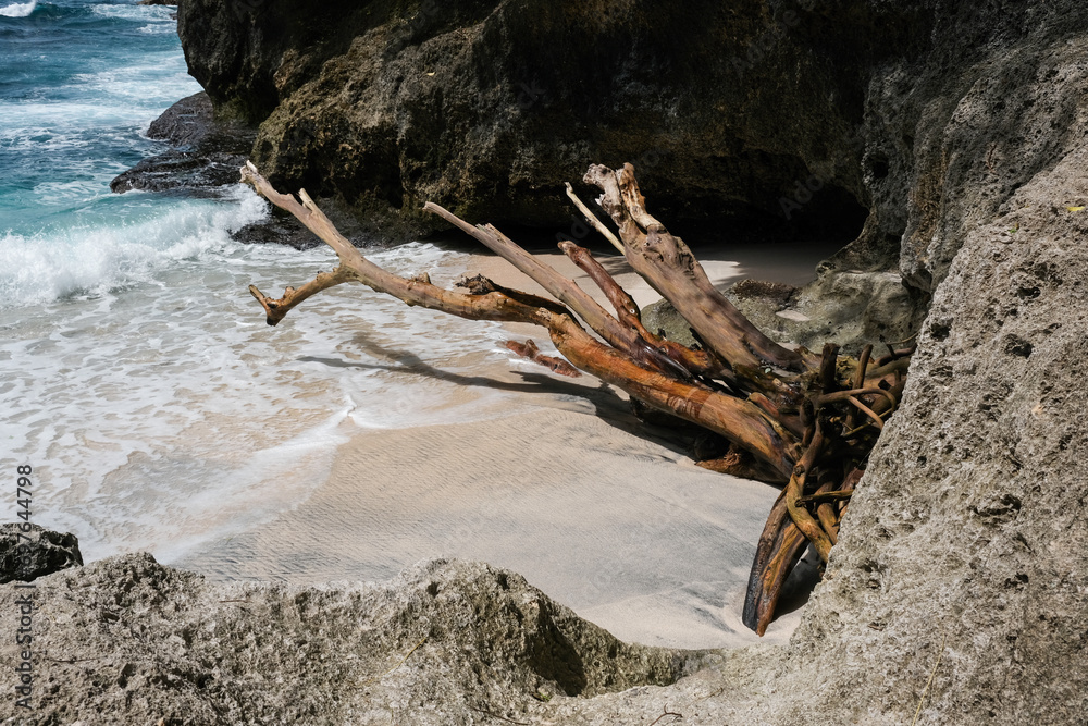 A tree trunk on beach on sunny day. Nusa Penida, Bali, Indonesia. A tree trunk on beach on sunny day. Nusa Penida, Bali, Indonesia.