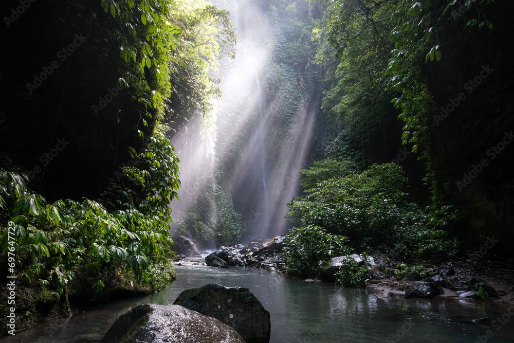 Sun beams in a creek leading to Hidden waterfall Sekumpul. Bali, Indonesia.