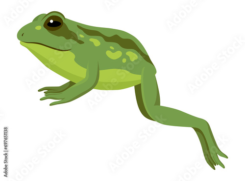 Frog jumping animation icon. Sequences or footage for motion design. Cartoon toad jumping, animal movement concept. Frog leap sequence, illustration