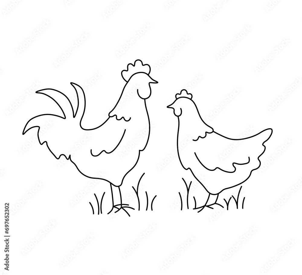 Vector isolated a rooster and a hen are opposite each other colorless black and white contour line easy drawing Vector isolated a rooster and a hen are opposite each other colorless black and white contour line easy drawing