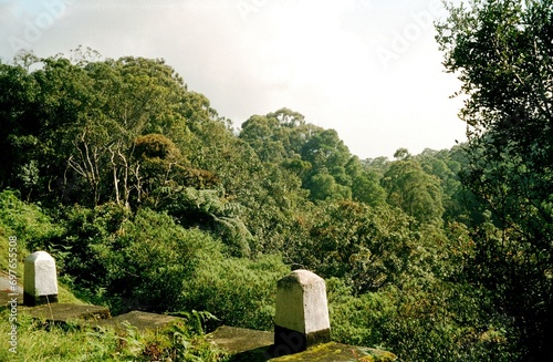 Haputale im Hochland Sri Lankas photo