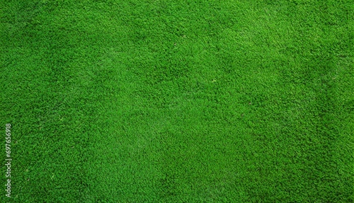 green carpet background photo