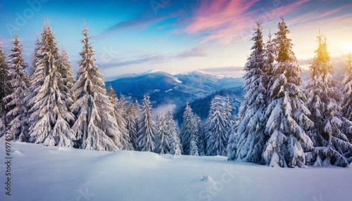 calm winter scenery picturesque morning view of mountain forest snowy landscape of carpathian mountains ukraine europe beauty of nature concept background © Ashley