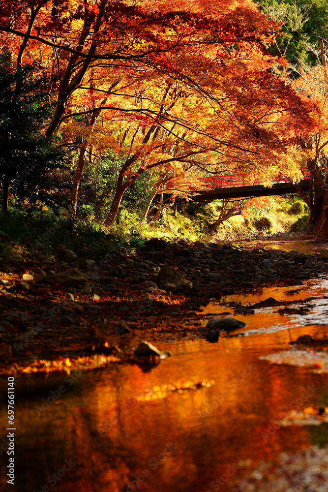 日本の紅葉、Japan fall autumn colors leaves