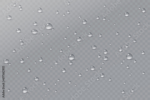 Realistic vector water drops png on a transparent light background. Water condensation on the surface with light reflection and realistic shadow. 3d vector illustration photo