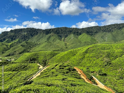 Fotografia cameroon highland valleys