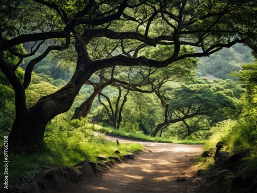 path in the park