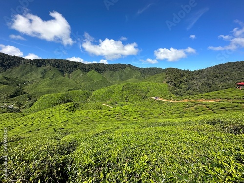 Foto cameroon highland valleys