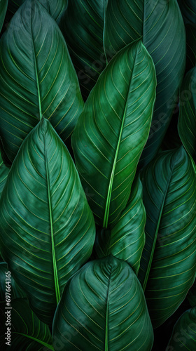 Deep Green Leaf Veins in Detail - Ideal Background for Natural Energy Designs