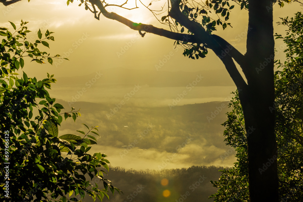 Fototapeta premium Natural wallpapers (mountains, morning light, fog, trees) scattered around, Lanscape background of fresh air and fresh air.