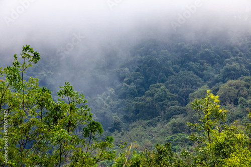 Natural wallpapers  mountains  morning light  fog  trees  scattered around  Lanscape background of fresh air and fresh air.