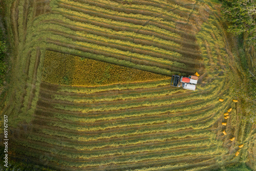 December 10, 2023: panoramic view of Ta Pa fields, An Giang province, Vietnam during the ripe rice season photo